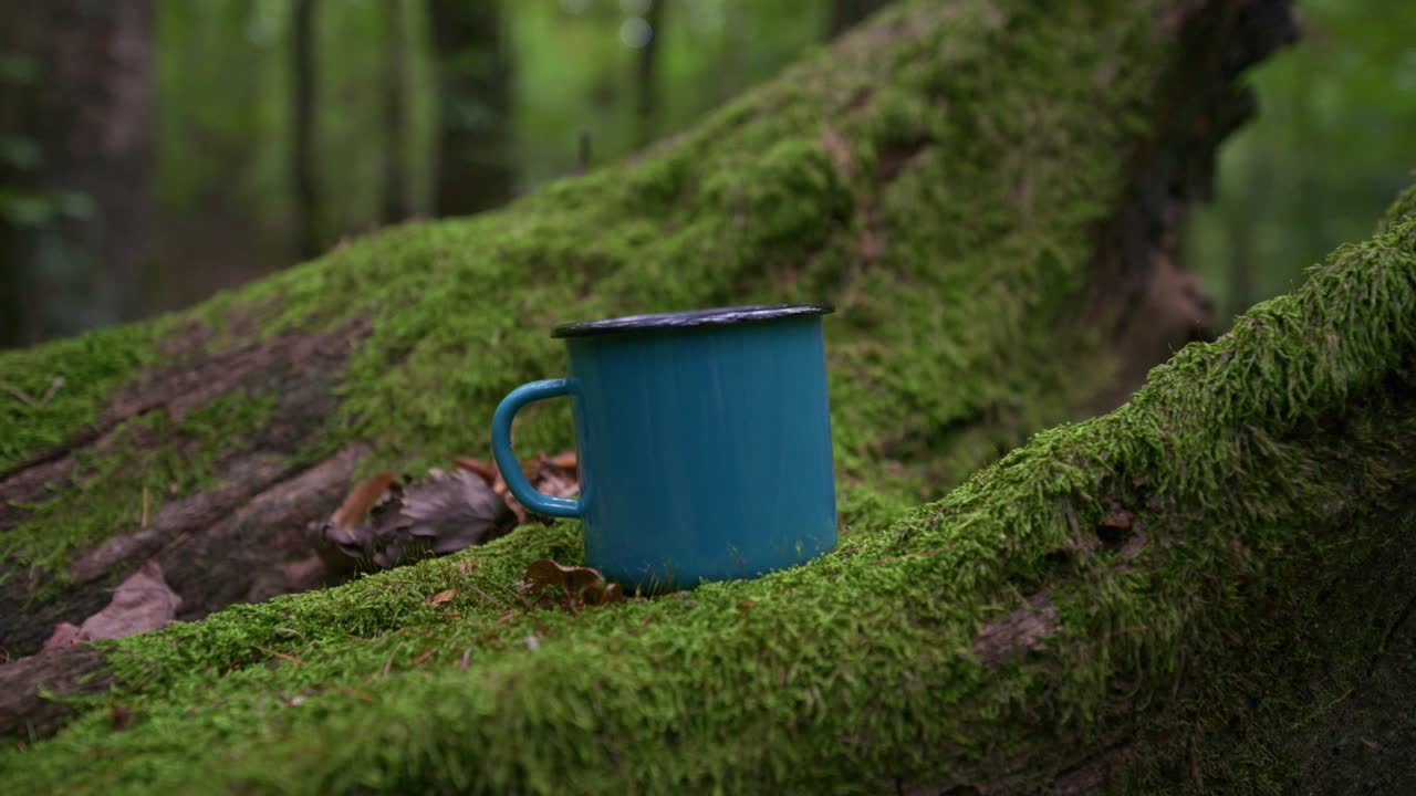 A blue metal camping mug rests on a moss-covered log in a peaceful forest setting. The video captures the calm and simplicity of outdoor life, highlighting the connection between nature and adventure