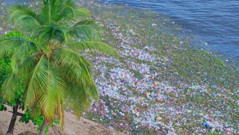 Vista-Impactante-De-Basura-Marina-Flotante-Que-Bordea-La-Exótica-Playa-Caribeña,-Antena