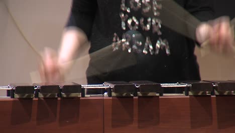 musician performing song on marimba instrument, young female static shot