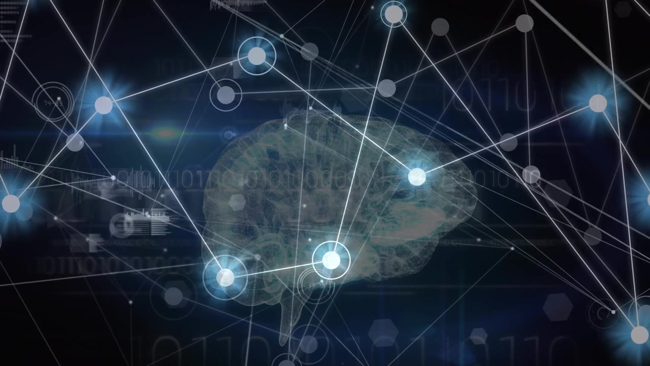 Animation of network of connections over data processing