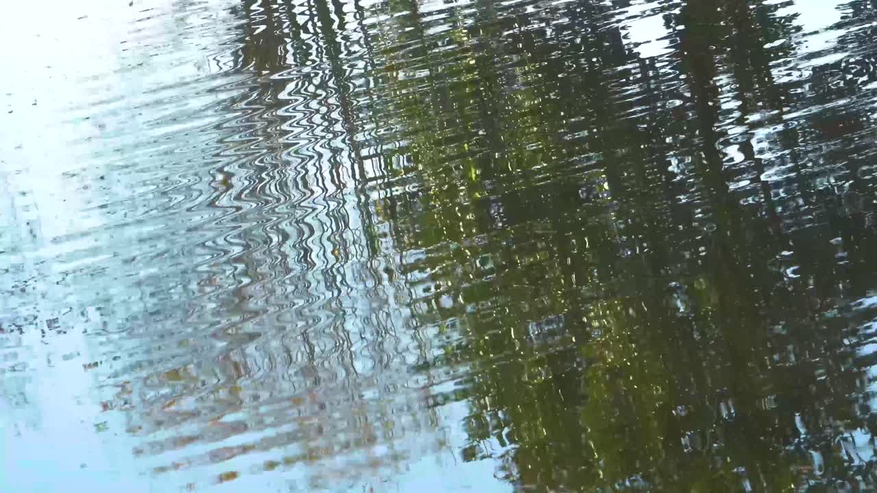 Trees and clouds ripple in the waves at a pond .