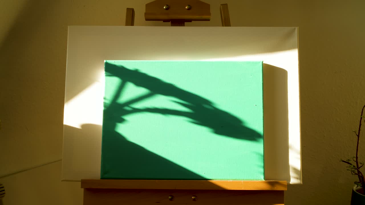 Soft flower shadows move gently over a canvas in warm sunlight timelapse