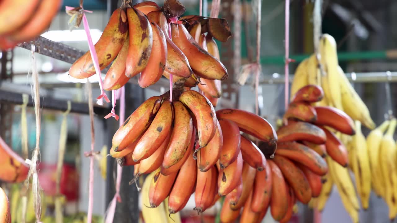 Red and yellow bananas hang in bunches at an outdoor market in Singapore, illuminated by bright, natural lighting with a slight camera pan effect