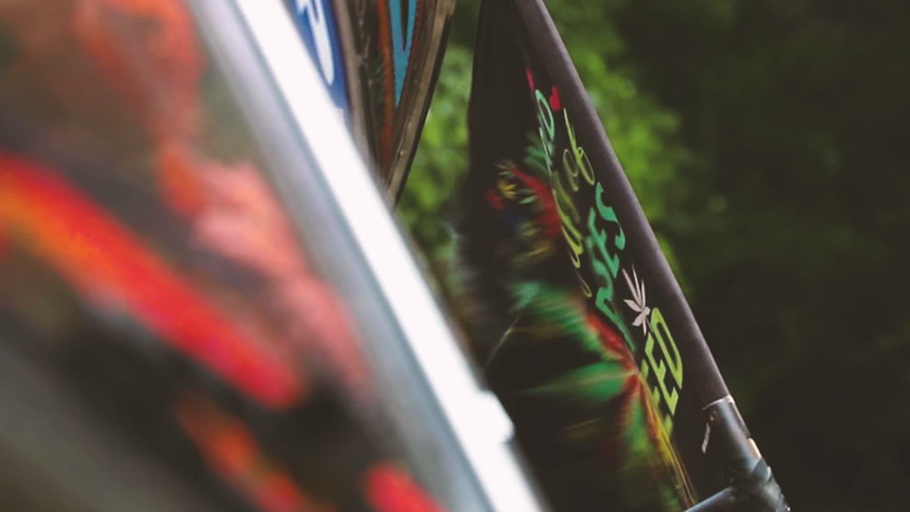 bandera de la marihuana - bandera izada con las palabras - en un mundo lleno de rosas ser una maleza , langtang, nepal