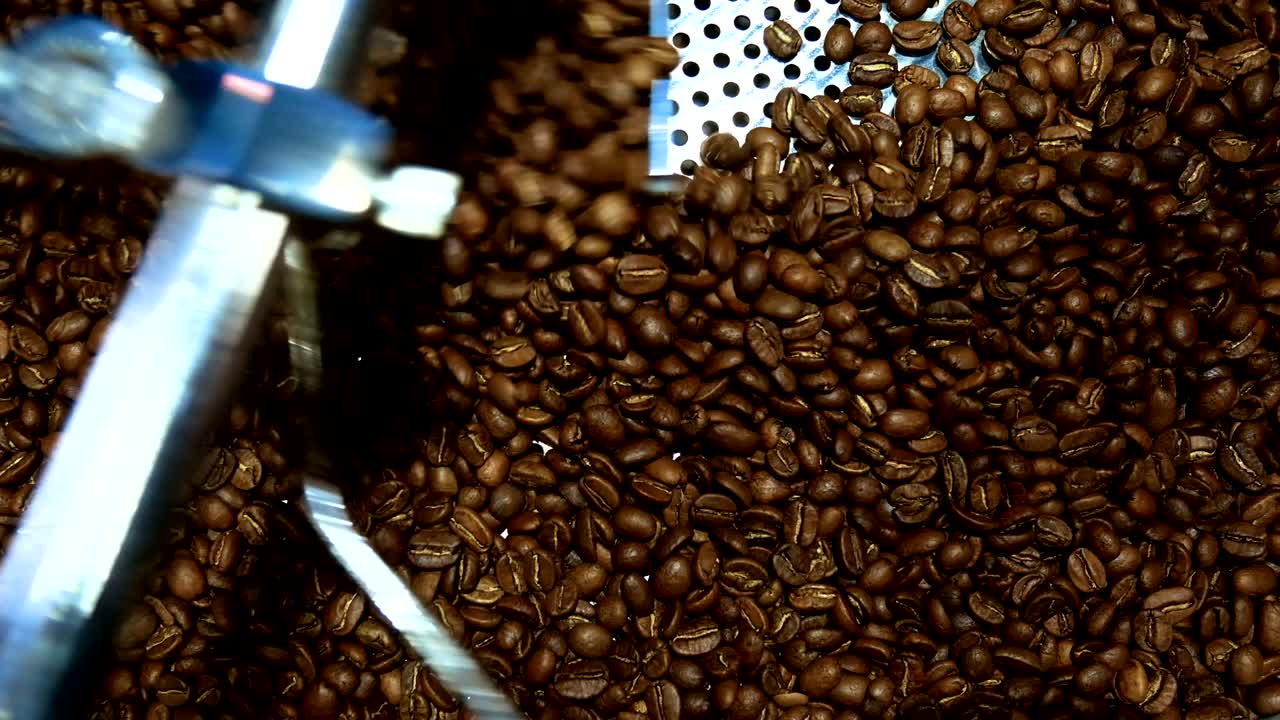 Coffee beans in the grinder. Fresh Coffee In coffee professional machine. Aroma, background.