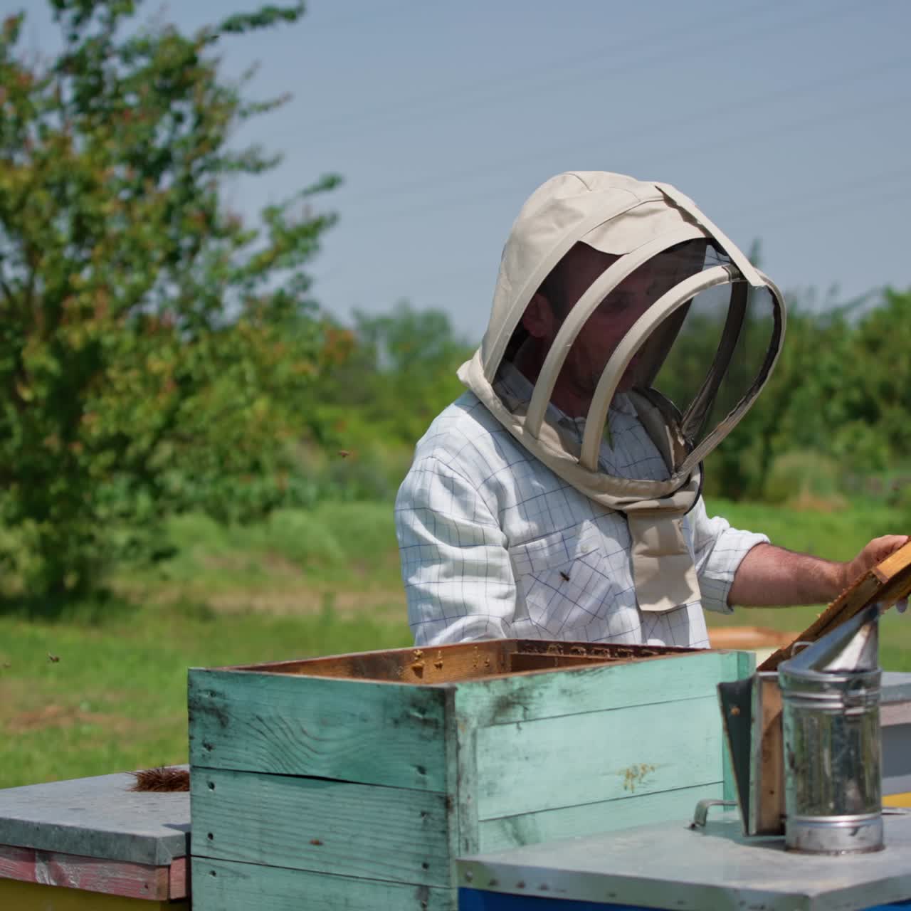 Man in protective suit working in bee apiary. Beekeeper works with honeycomb