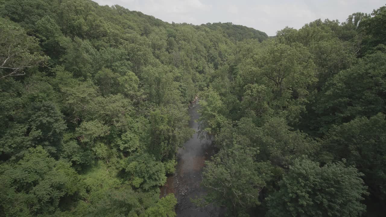 toma amplia alta del arroyo wissahickon, desde el puente walnut lane