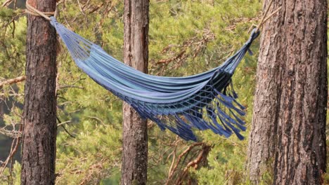 vacaciones en hamaca en un bosque.