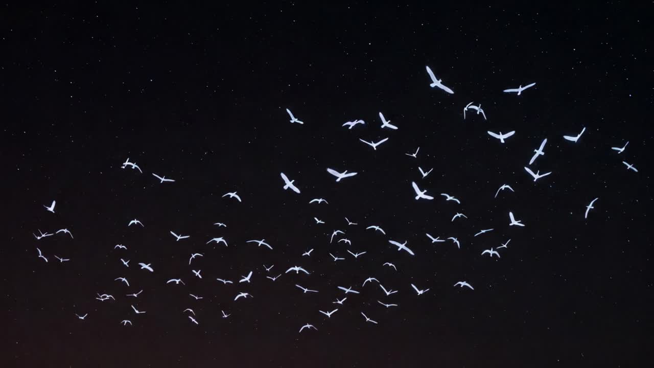 A Majestic Night Flight: A Flock of Birds Soaring Across the Starry Sky Capturing the Grace and Freedom of Avian Life in Painstaking Detail