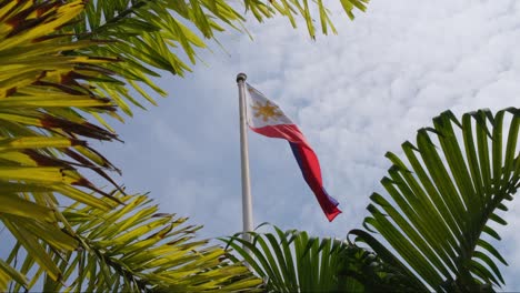 bandera nacional filipina vista a través de palmeras volando a la derecha con nubes parecidas a algodón y un hermoso cielo azul