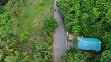 Tropenparadies:-Ein-Atemberaubender-Vertikaler-Drohnenflug-Aus-Der-Luft-Hinter-Einer-Walze,-Die-Auf-Einer-Straße-Im-Tropenwald-Zwischen-Palmen-Auf-Der-Insel-Phuket-In-4K-Fährt