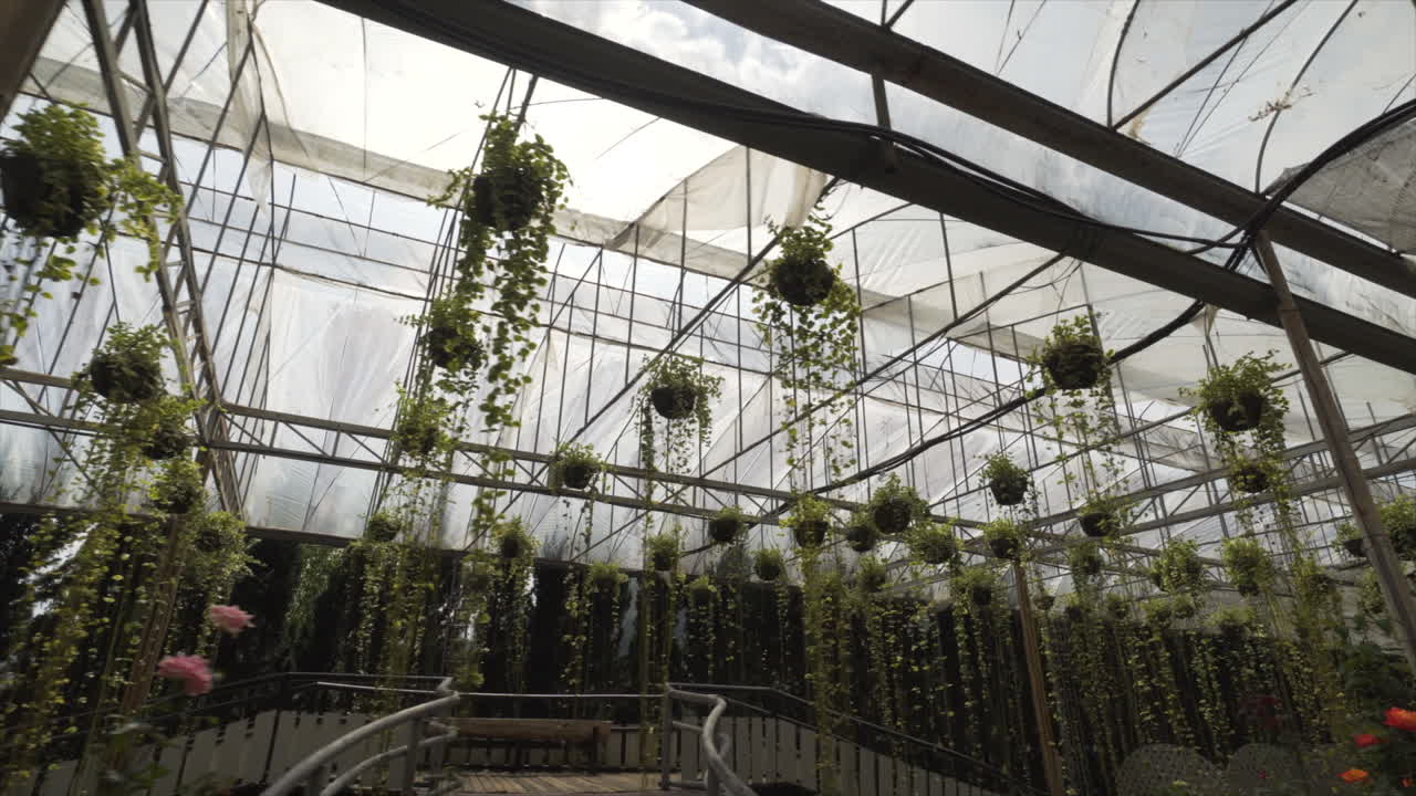 Doi Inthanon garden in Chiang Mai, Thailand