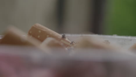 un cigarrillo es cenizas en un cenicero macro