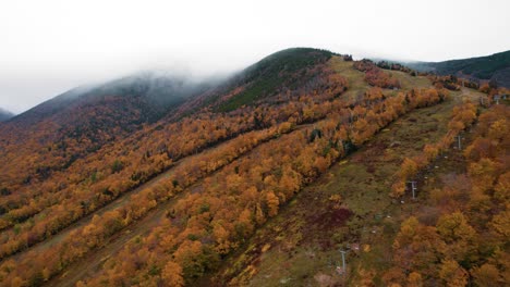 aerial of a mountain with fall foliage surrounded by clouds
