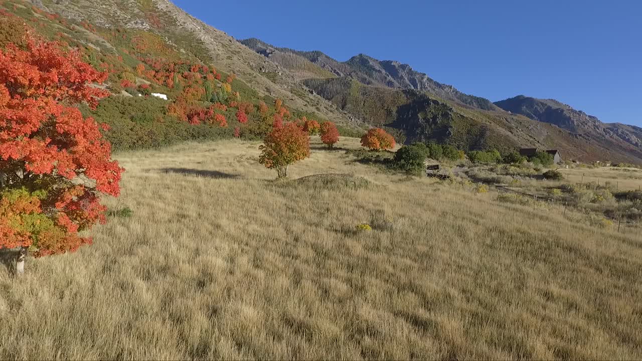 무인 항공기는 나무 잎이 밝은 빨간색과 노란색으로 색상을 변경으로 가을에 고산 초원의 공중 영상을 캡처합니다.