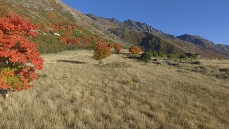 Eine-Drohne-Nimmt-Luftaufnahmen-Einer-Alpenwiese-Im-Herbst-Auf,-Während-Baumblätter-Ihre-Farbe-In-Leuchtende-Rot--Und-Gelbtöne-ändern