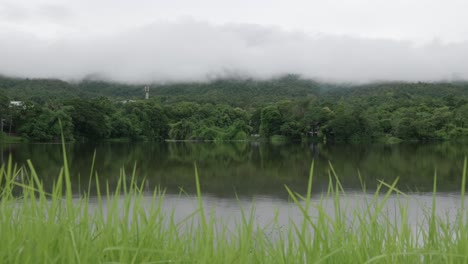 a view of angkaew reservoir in chiang mai, with still water reflecting trees and clouds. this park is popular among locals in thailand
