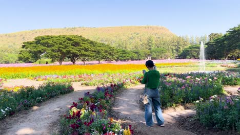 people walking in a colorful flower garden