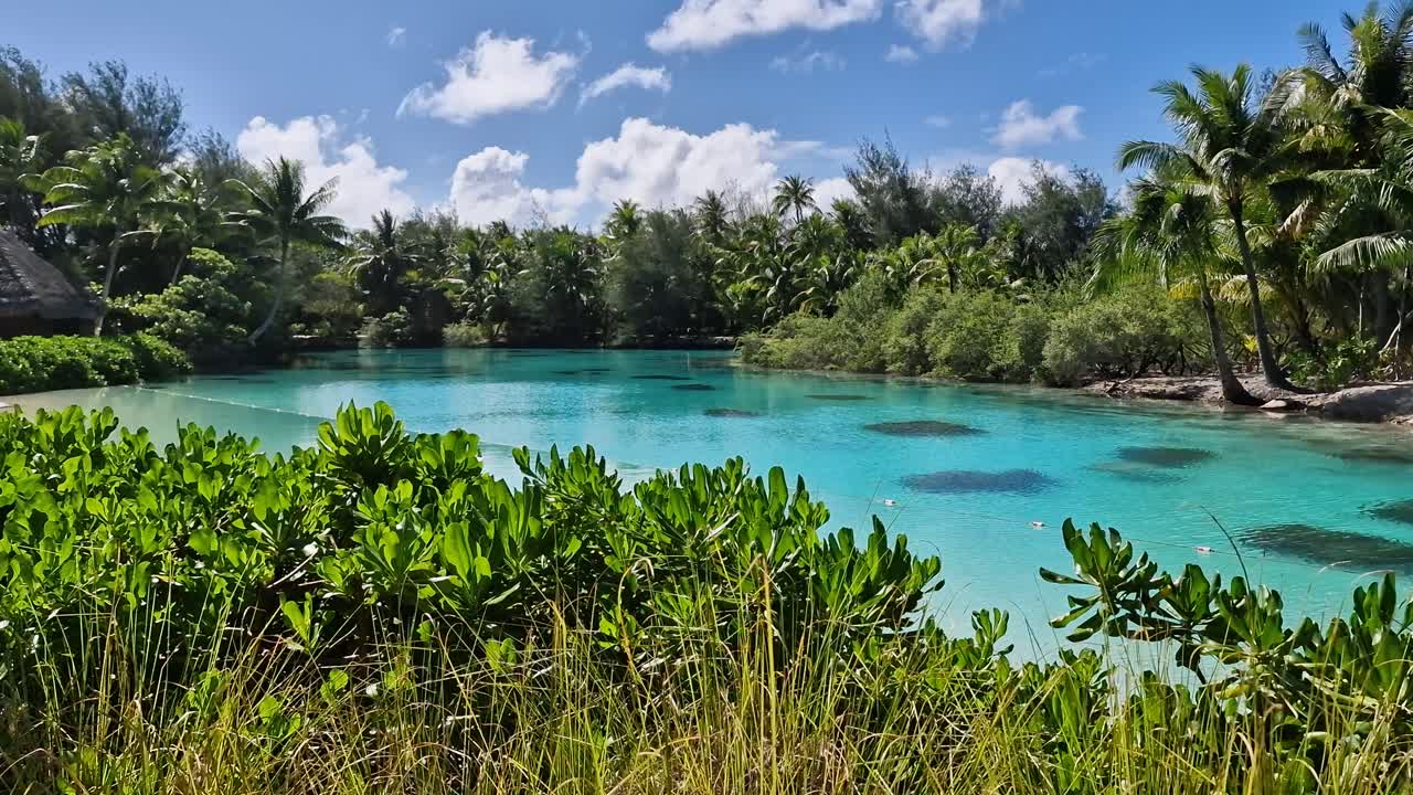 Bora Bora Ø, Fransk Polynesien. Lagune og tropisk frodighed fra et luksusresort.