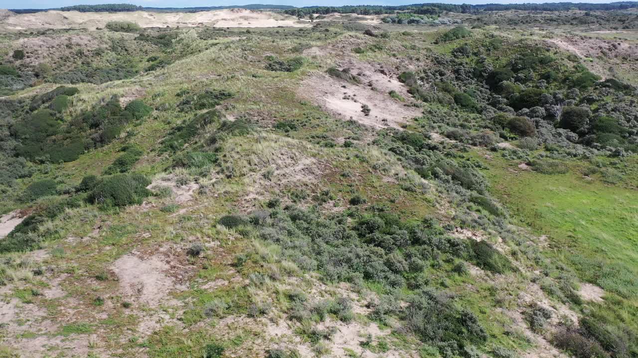 vista aérea con dunas, bosque en un día soleado fotografiado con un dron