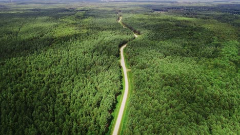 remote gravel road meanders through lush green forest near pape nature park