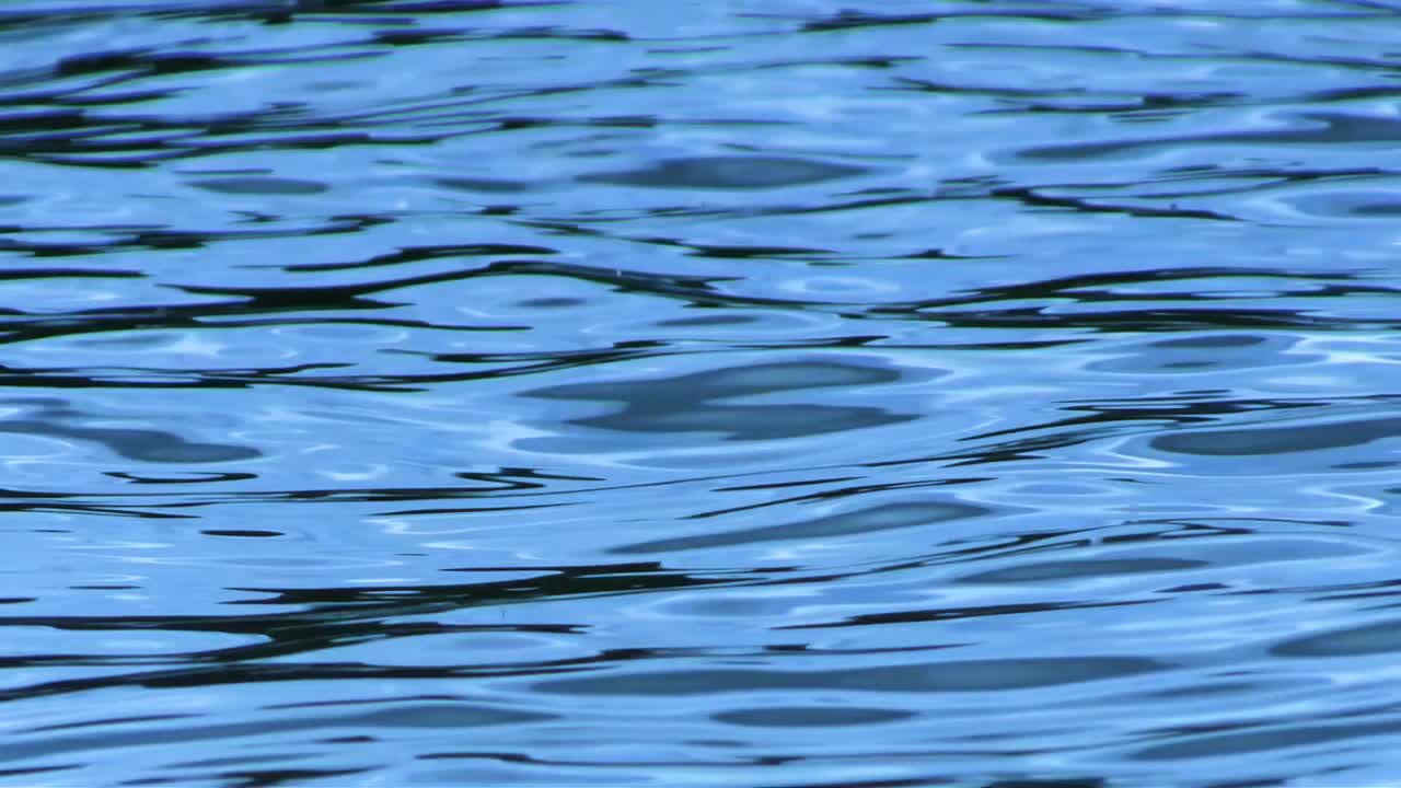 바다 물의 클립