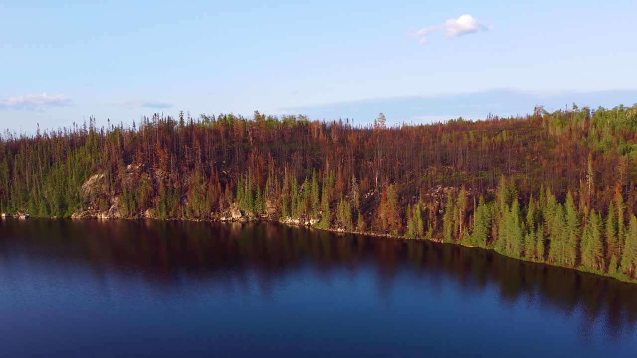 Bird's eye view of the nature where the Quebec forest fires took place