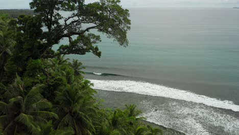 Grúa-Aérea-Disparada-Entre-árboles-Hacia-Olas-Rompientes-En-Indonesia