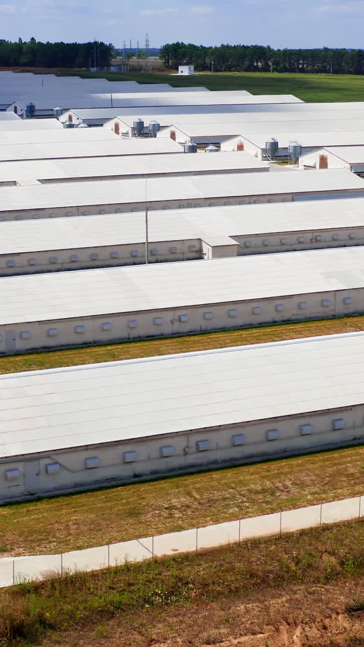 Aerial view of poultry farm. Modern farm poultry buildings. Agriculture Vertical video