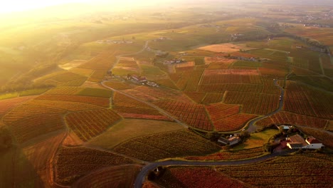 Vista-Aérea-Del-Paisaje-De-Viñedos-Durante-Las-Horas-Doradas-Del-Atardecer,-Tierra-Europea-Para-La-Producción-De-Vino-De-Champán