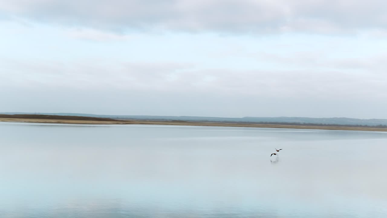 날아다니는 새 들 과 함께 조용 한 호수