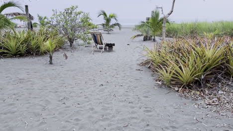 Langsame,-Aufschlussreiche-Aufnahme-Einer-Sonnenliege-Am-Strand,-Umgeben-Von-Pflanzen