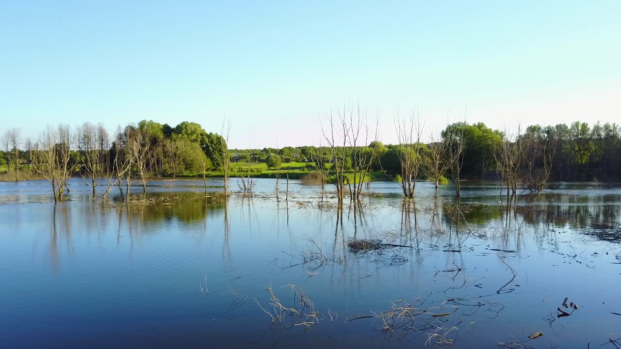 Concept Of Climate Change And Global Warming. Dead trees under evening sunset sky at nature landscape