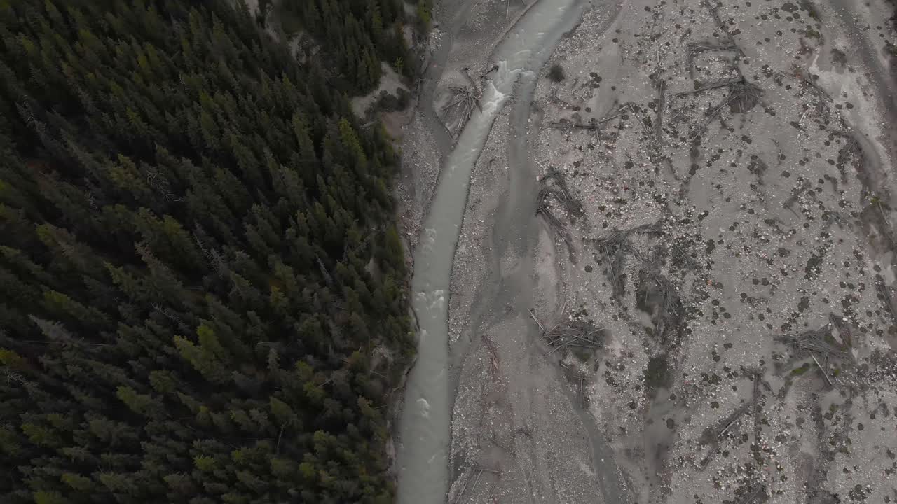 Ripresa aerea introduttiva di un torrente di montagna prosciugato circondato da una foresta di pini, inquadratura dal basso verso l'alto, concetto di conservazione.