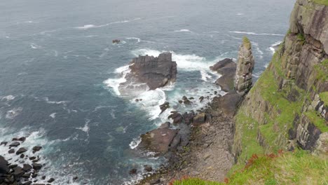 A-slow-tilting-shot,-rising-from-a-rocky-bay-to-reveal-waves-crashing-against-a-tall-sea-cliff-in-the-ocean-while-seabirds-fly-around-the-cliffs-of-a-seabird-colony-of-puffins,-Handa-Island,-Scotland