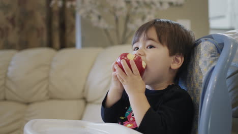 two-year-old kid eats a big red apple