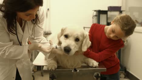 Vet-examining-dog-in-her-office-with-young-owner