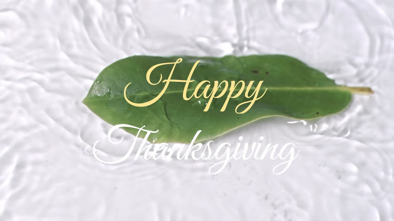Animation of happy thanksgiving text over green leaf in water on white background