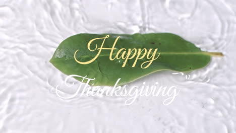 animation of happy thanksgiving text over green leaf in water on white background