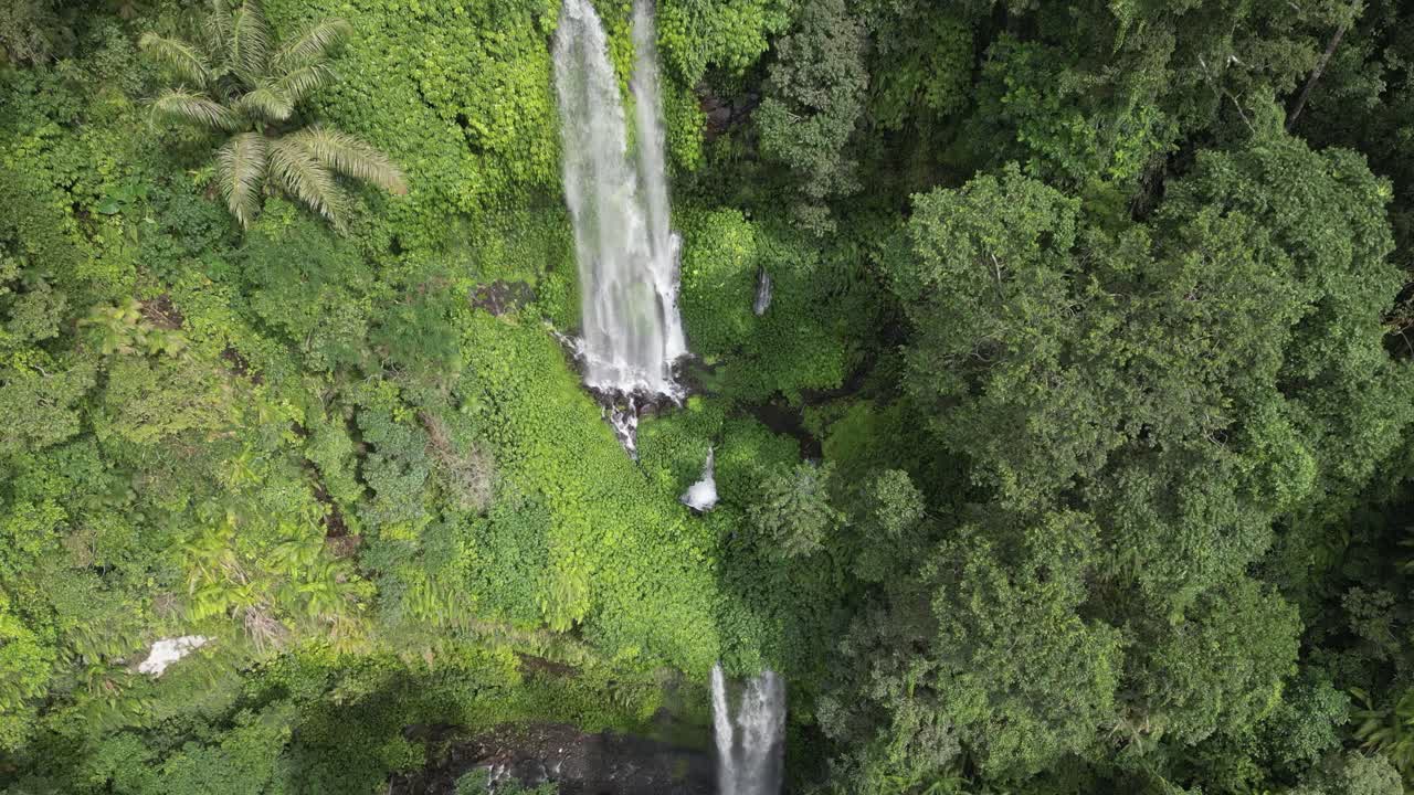 el avión desciende a través del frondoso y denso follaje verde de la jungla junto a la cascada.