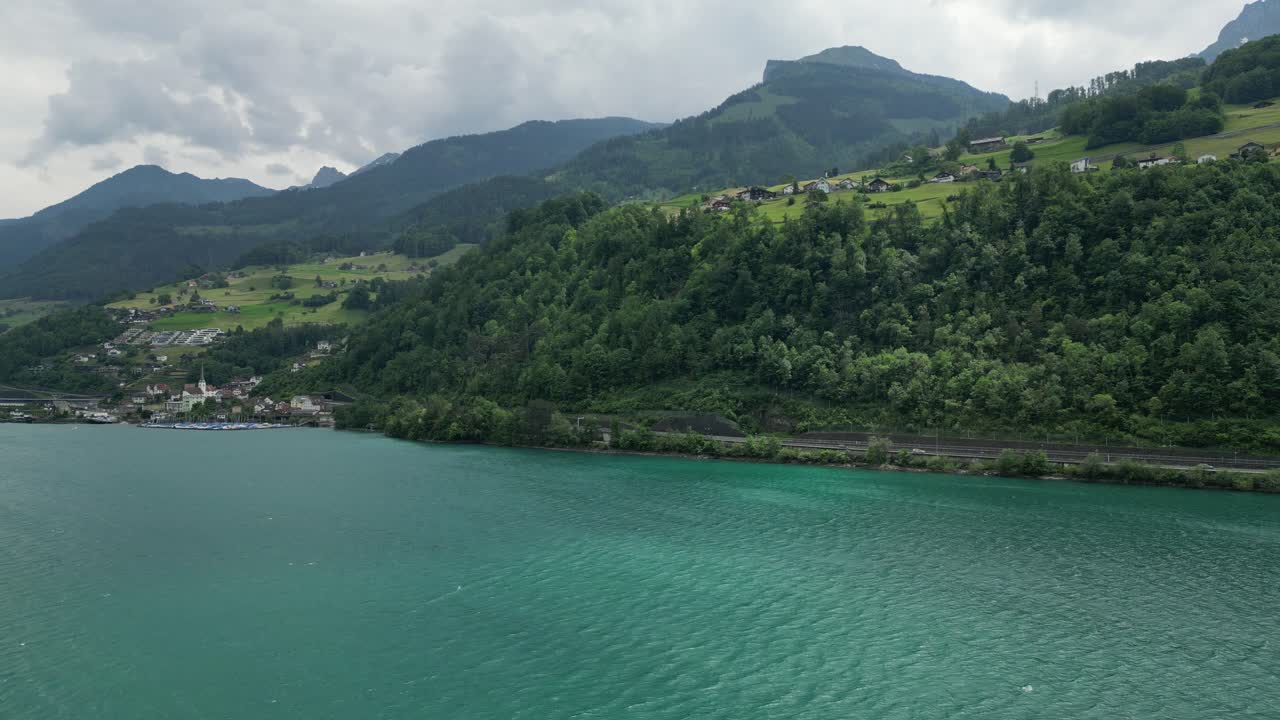 vista aérea del dosel verde de la vegetación en las orillas del lago suizo