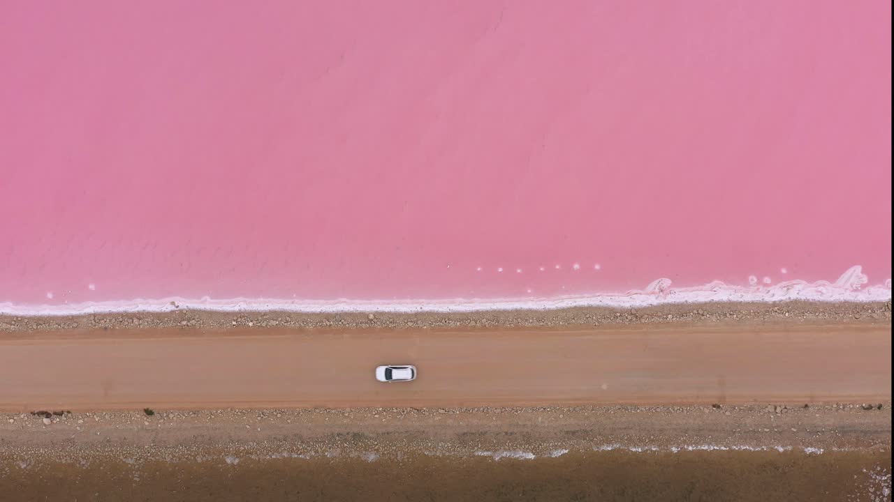 excelente toma aérea de un automóvil que conduce por una carretera que divide el lago macdonnell en la península de eyre, sur de australia, con agua marrón en un lado y rosa en el otro