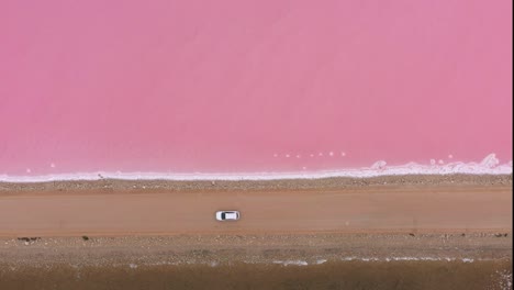 excellent overhead aerial shot of of a car driving down a road dividing lake macdonnell on eyre peninsula, south australia, with brown water on one side and pink on the other