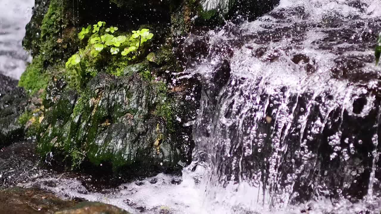 l'eau qui tombe en cascade sur les roches couvertes de mousse