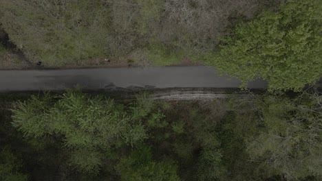 A-birds-eye-view-of-a-forested-country-lane-as-a-grey-van-drives-through-the-trees