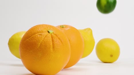 bright fruit medley of oranges, lemons and limes falling and bouncing on white backdrop in slow motion