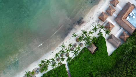 vista aérea de drones a vista de pájaro de una hermosa playa tropical de vacaciones con agua azul cristalina, arena blanca, palmeras y un camino que va desde un resort hasta la playa en riviera maya, méxico