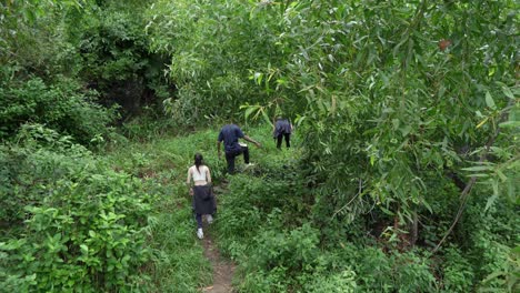 hikers in a lush forest
