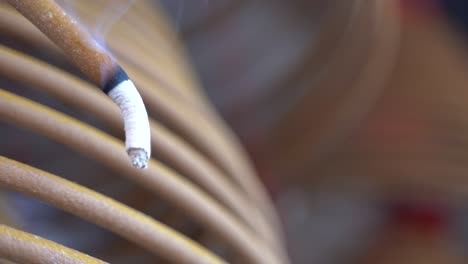 burned coil swirl incense in macau (macao) temple