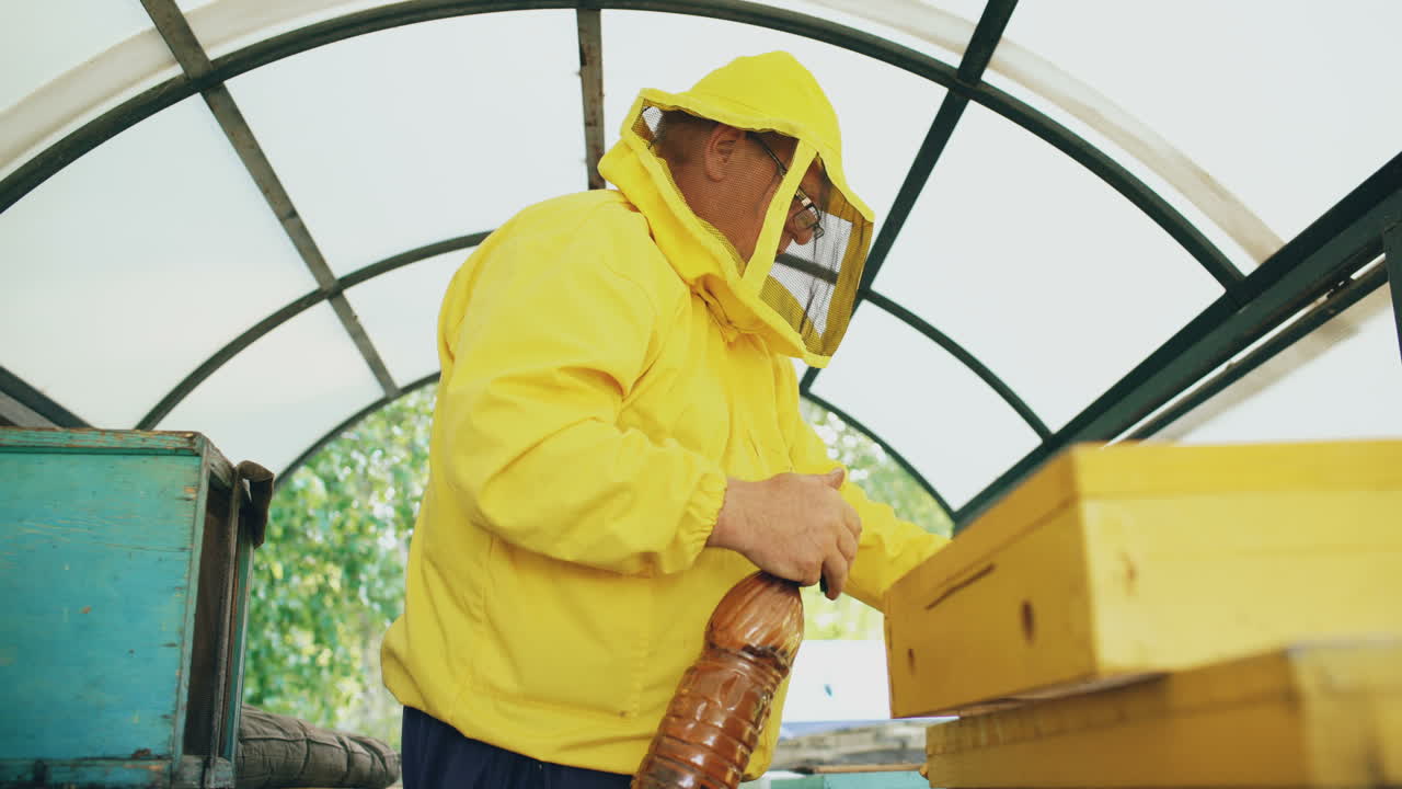 Beekeeper inspecting beehives